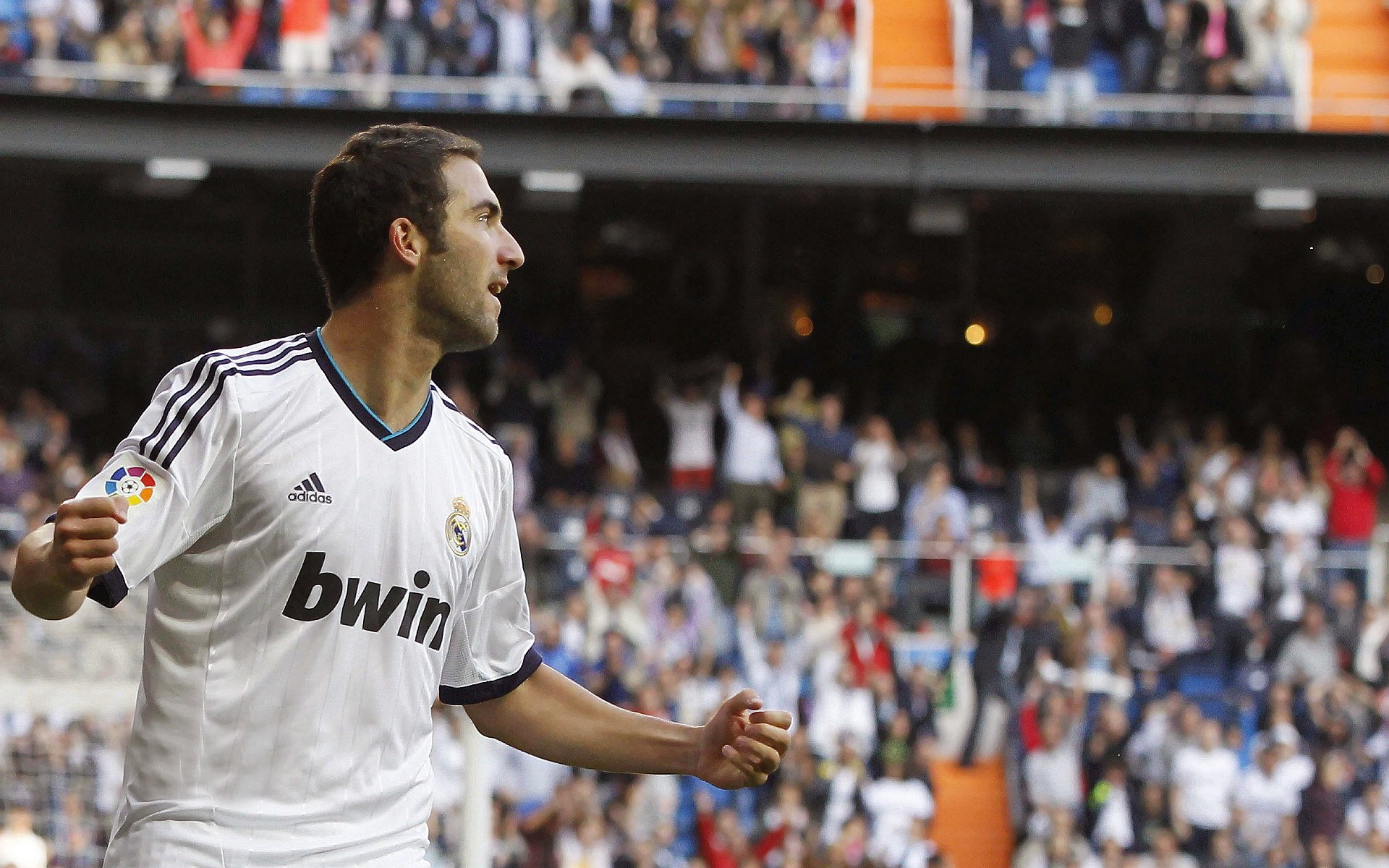 南非羚羊队：通过坚韧不拔的防守和迅猛的反击，他们称霸赛场，南非羚羊皮可以干嘛用