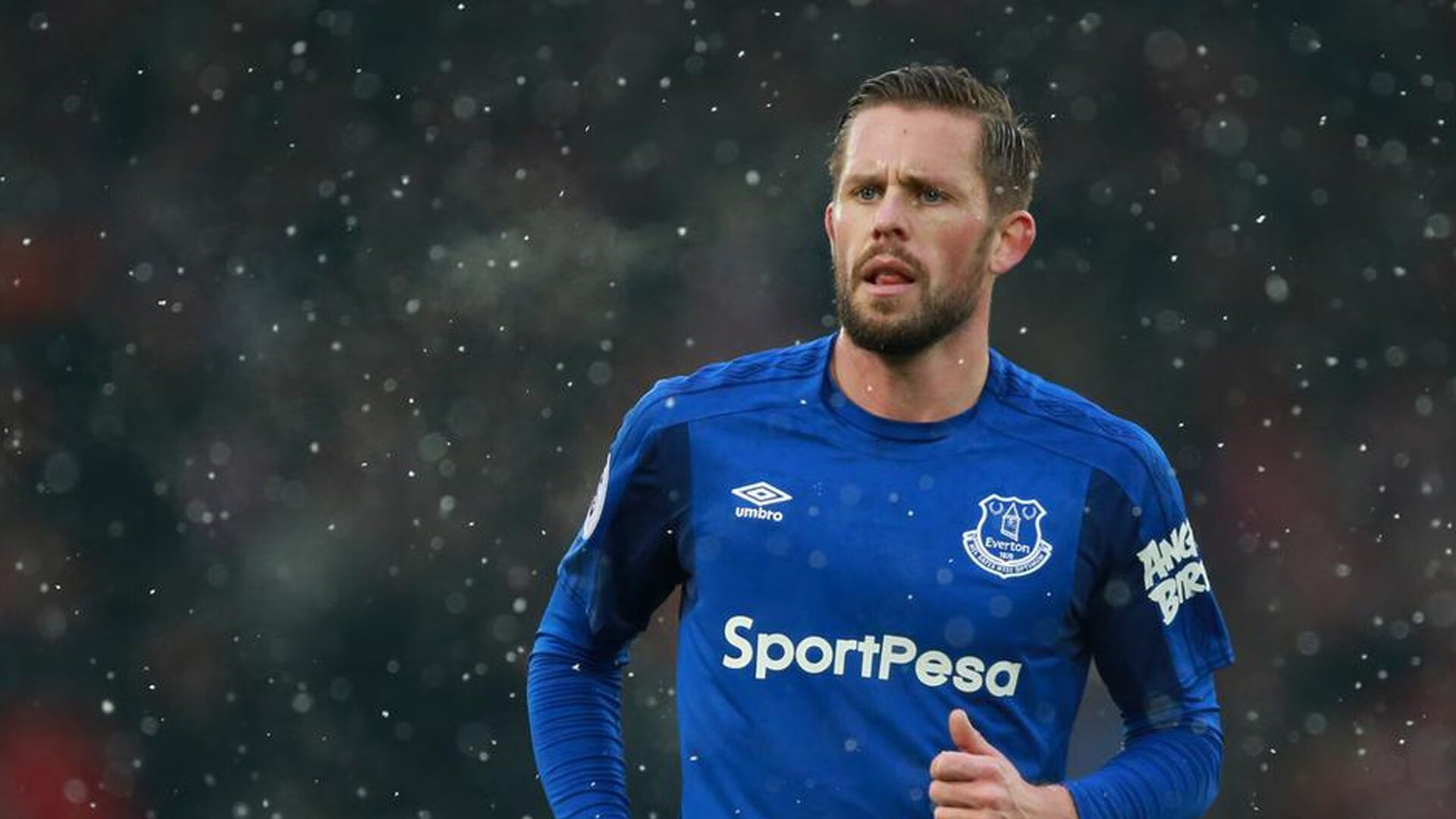 自由泳荷兰女将节奏把握精准，自由泳名将